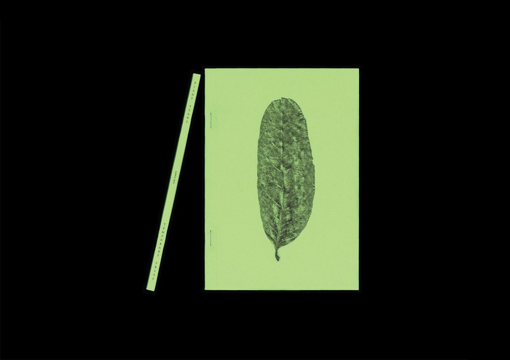 <del>Plant Scans</del> - Image 2