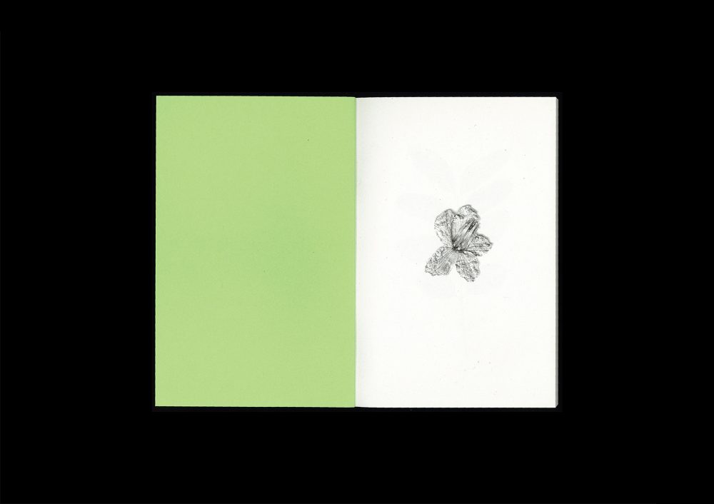 <del>Plant Scans</del> - Image 3
