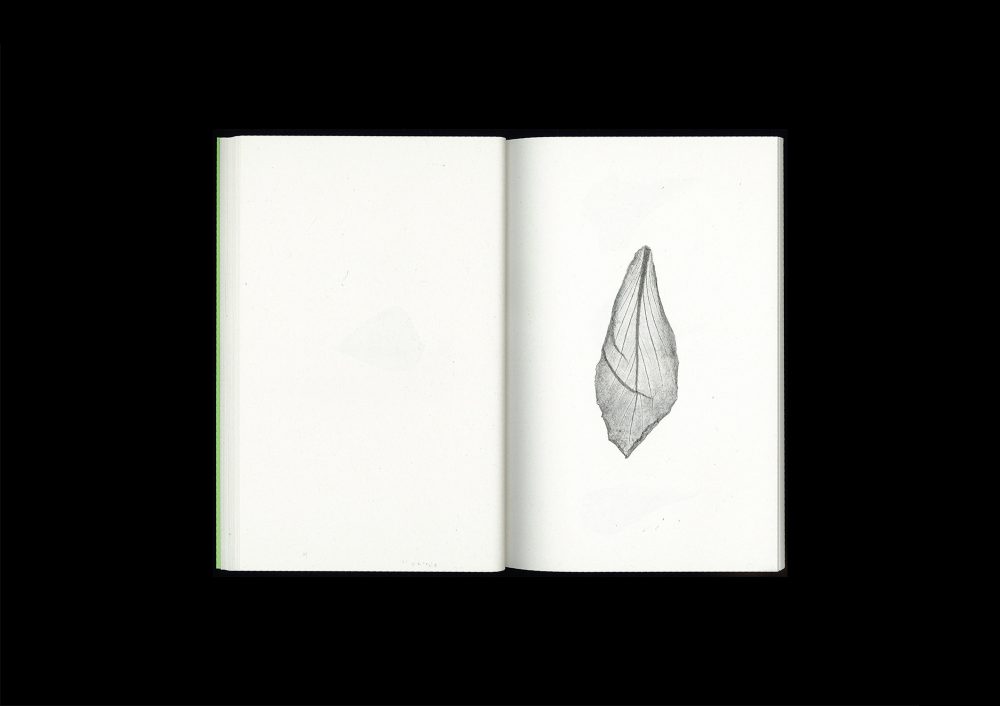 <del>Plant Scans</del> - Image 5