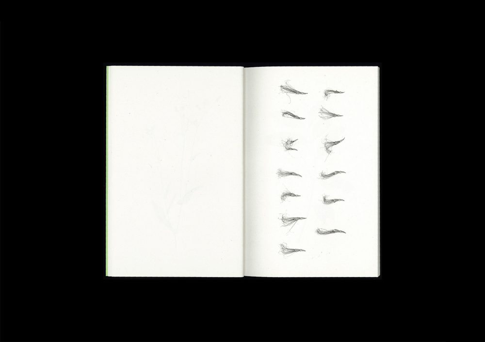 <del>Plant Scans</del> - Image 7