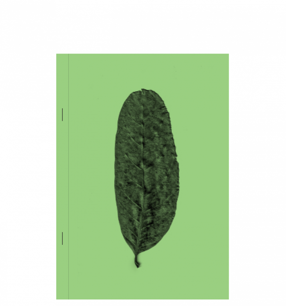 <del>Plant Scans</del>
