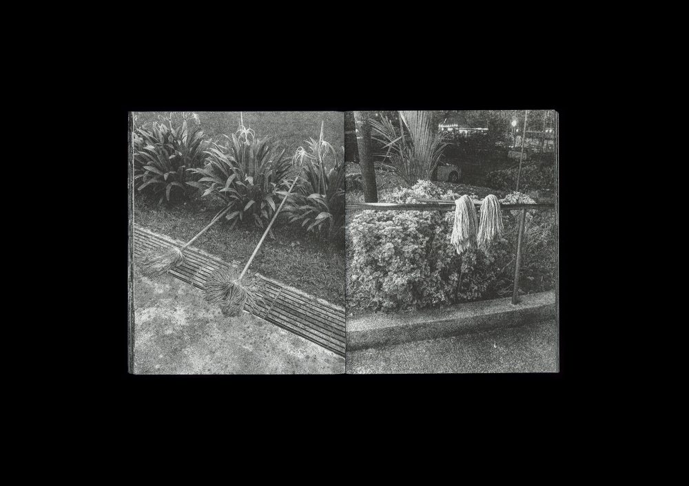Forming Cityscapes #8: Plants