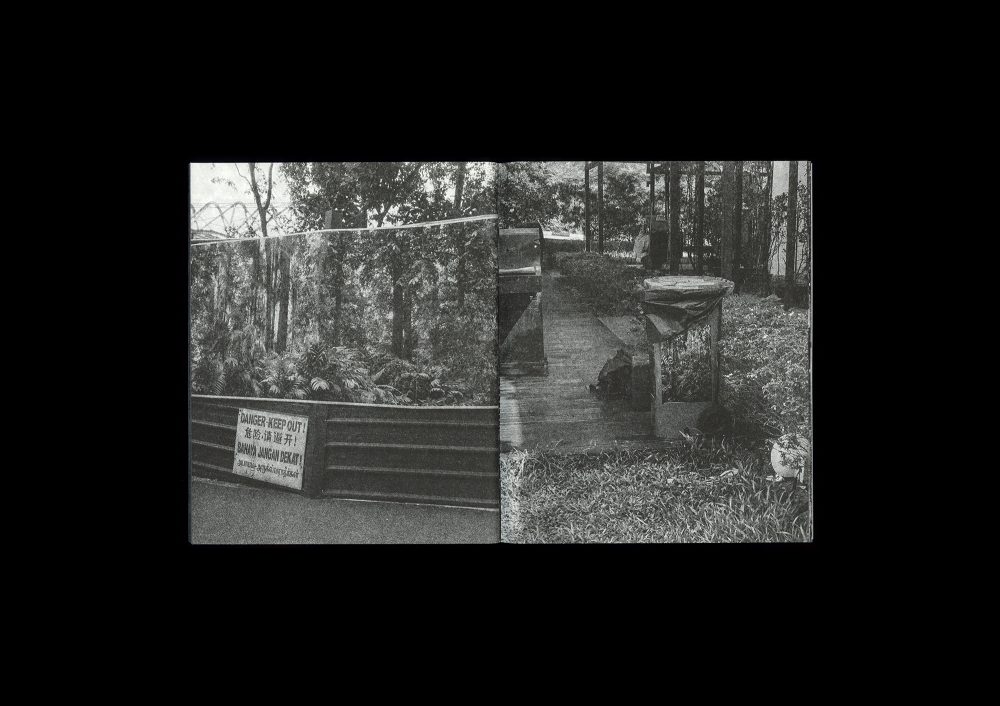 Forming Cityscapes #8: Plants
