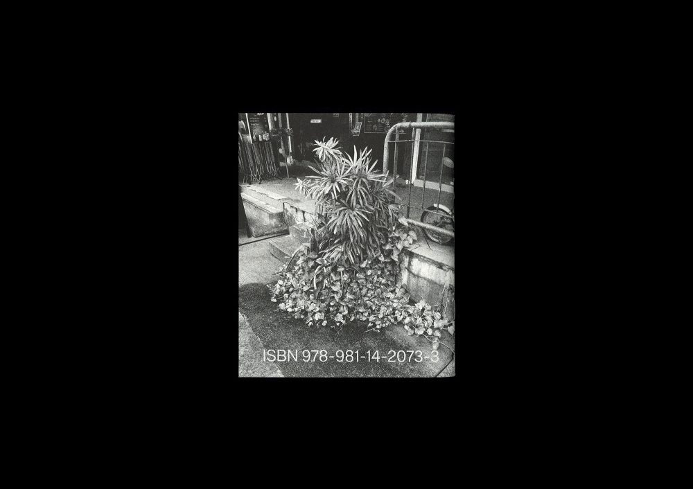 Forming Cityscapes #8: Plants