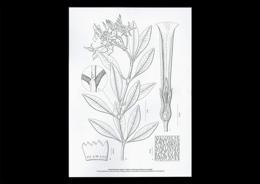 <del>Microscopic Images</del>