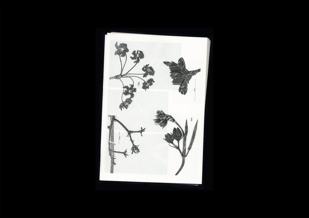 <del>Microscopic Images</del>