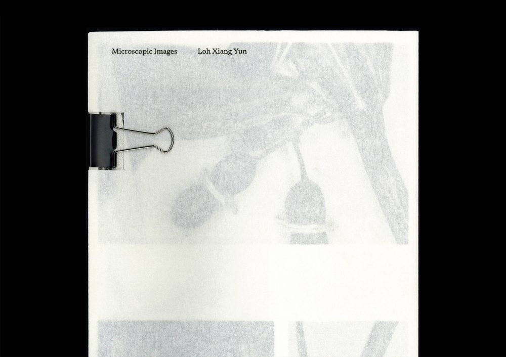 <del>Microscopic Images</del>
