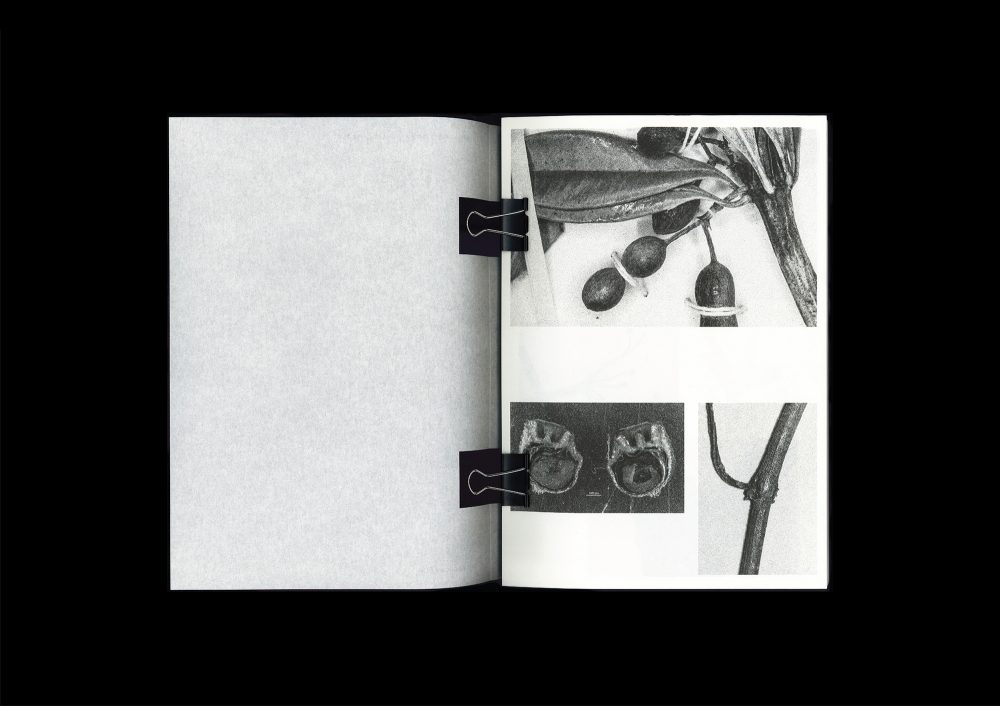 <del>Microscopic Images</del>