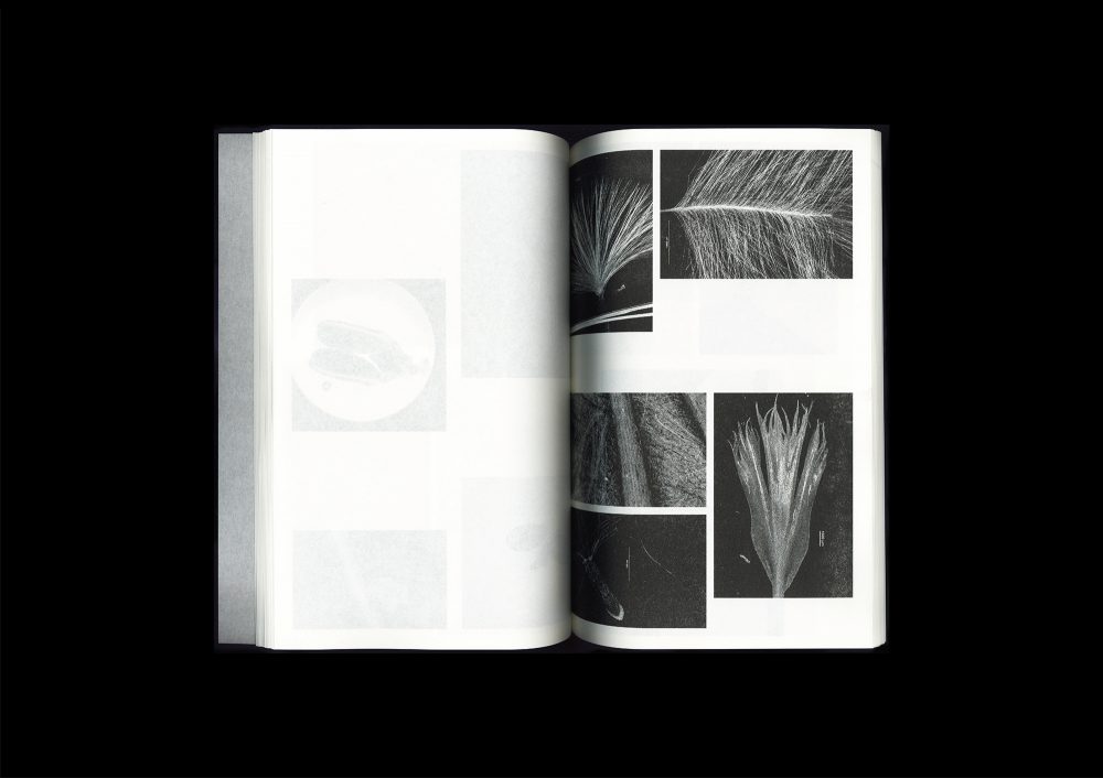 <del>Microscopic Images</del>