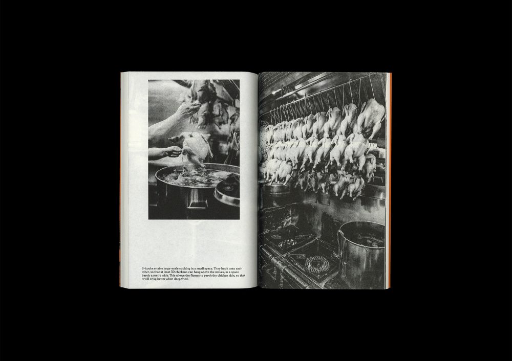 This is Not a Food Magazine (2nd Ed.)