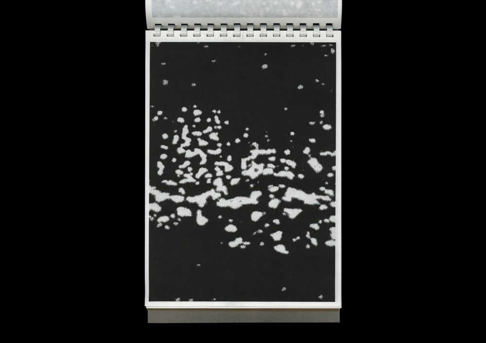 尘惦 (chéndiàn); after scans and lingering dust