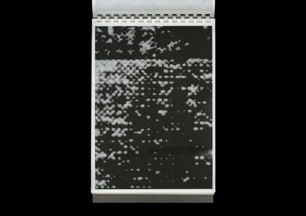 尘惦 (chéndiàn); after scans and lingering dust