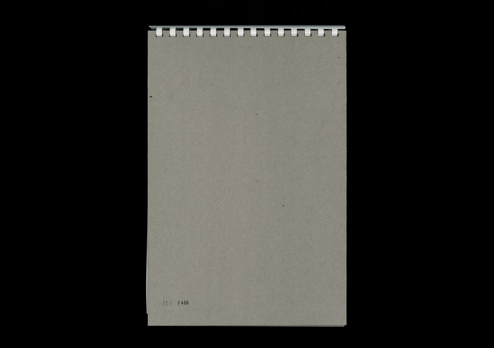 尘惦 (chéndiàn); after scans and lingering dust