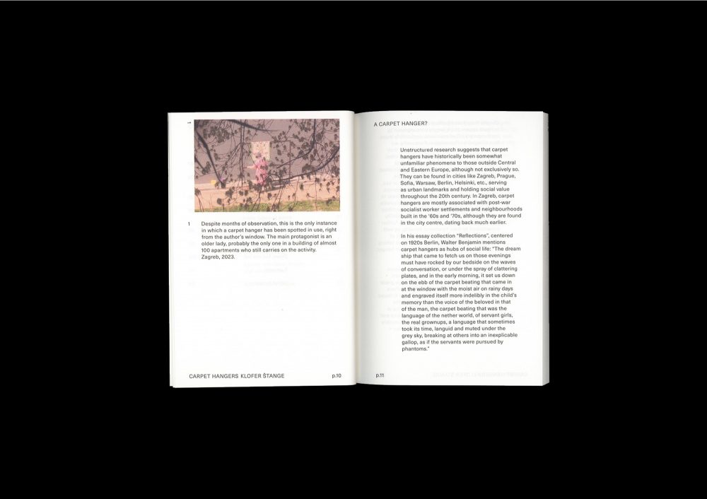 Street Report 5: Carpet Hangers