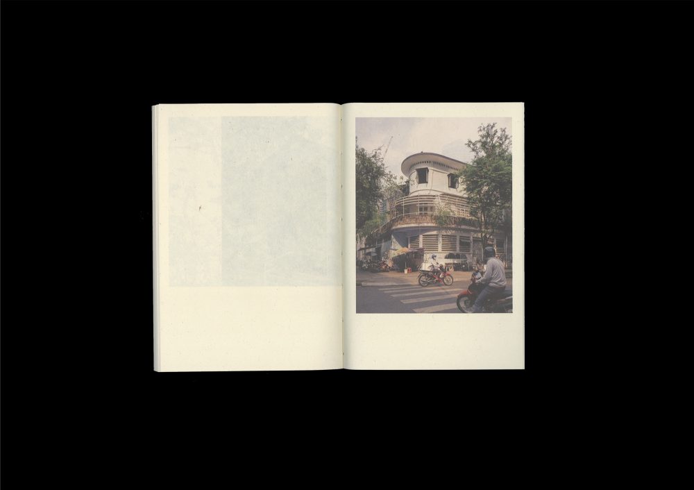 Nests: An Ode to Domesticity