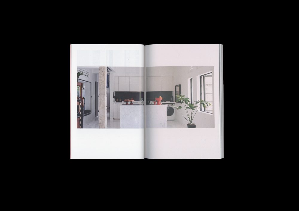 Nests: An Ode to Domesticity