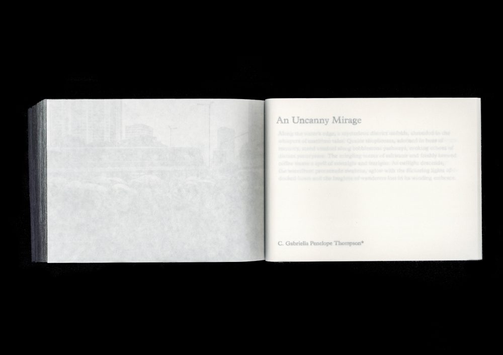 AgnesPori-S_7 Agnes Pori — an emergent city