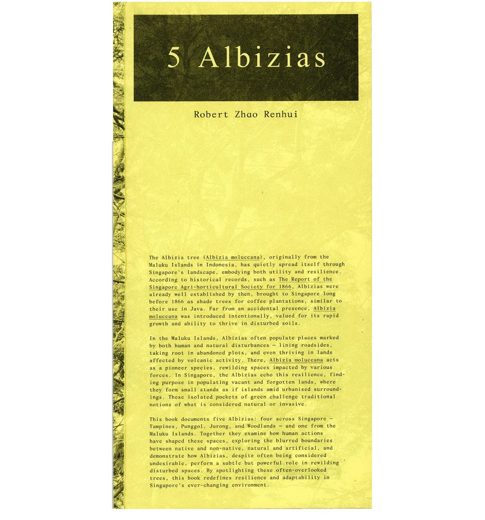 5 Albizias