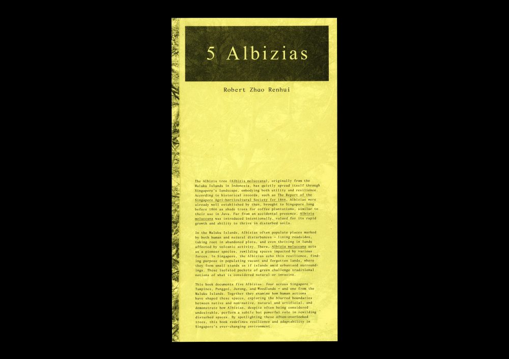 5 Albizias